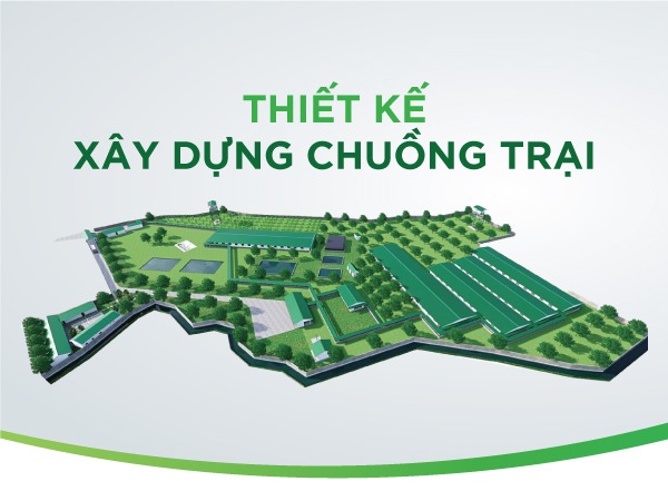 THIẾT KẾ VÀ XÂY DỰNG CHUỒNG TRẠI KHOA HỌC, HIỆU QUẢ CÙNG ĐỘI NGŨ CHUYÊN GIA GREENFEED