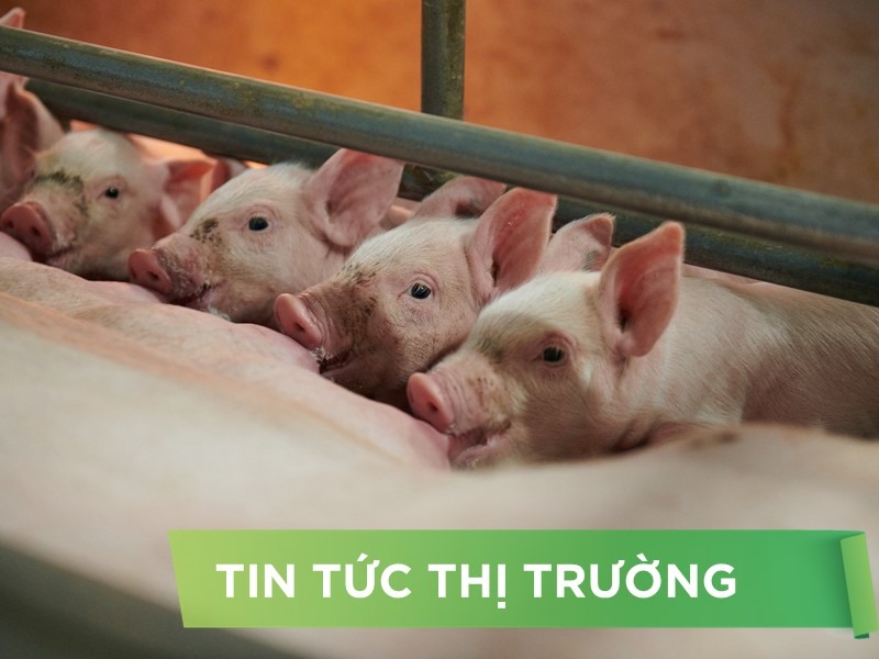 ĐIỂM TIN NỔI BẬT THÁNG 8/2024