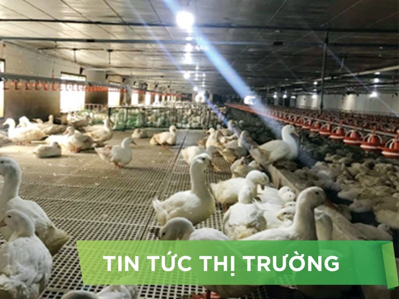 ĐIỂM TIN NỔI BẬT THÁNG 7/2024