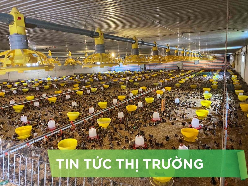 ĐIỂM TIN NỔI BẬT THÁNG 10/2024