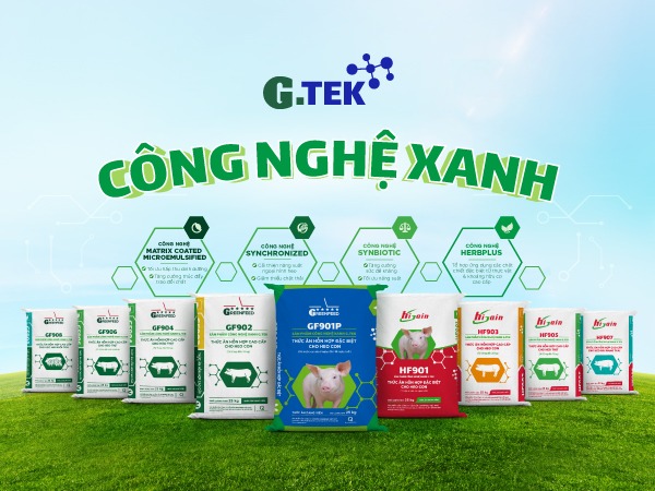 GREENFEED HOÀN THIỆN BỘ SẢN PHẨM THỨC ĂN CHĂN NUÔI CAO CẤP G.TEK CHO HEO