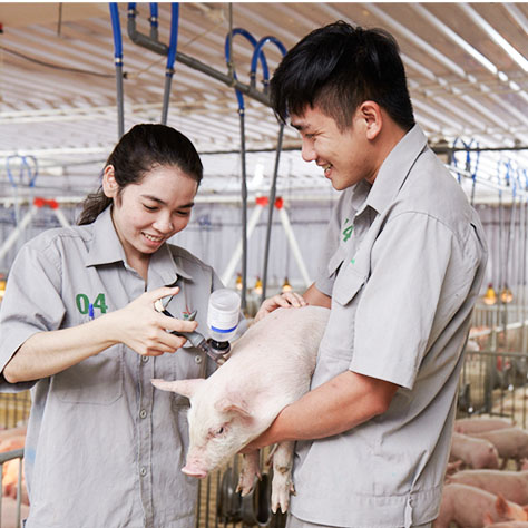 VETERINARY PRODUCTS