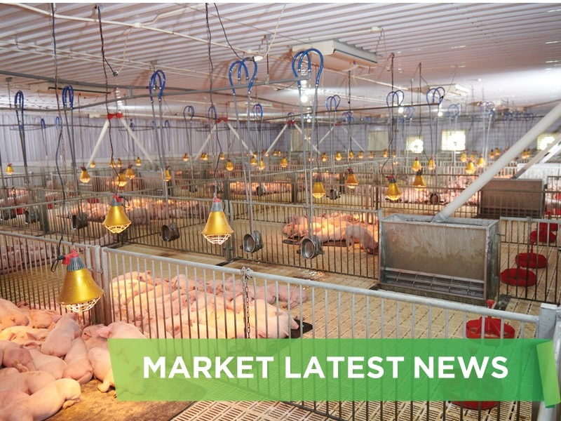 NEWS HEADLINES OF JULY 2024