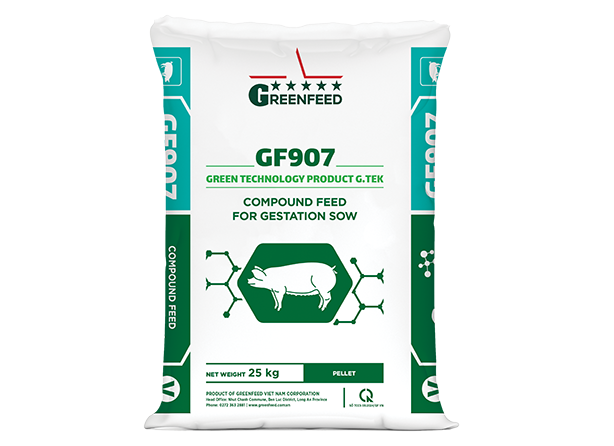 Compound feed for gestation sow (GF907)