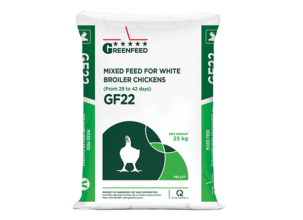 Mixed feed for white broiler chickens (GF22)