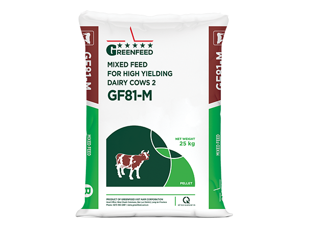 Mixed feed for high yielding dairy cows 2 (GF81-M)