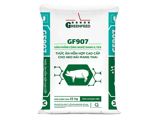 Thức ăn hỗn hợp cao cấp cho heo nái mang thai (GF907)