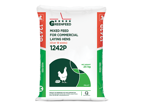 Mixed feed for commercial laying hens (1242P)