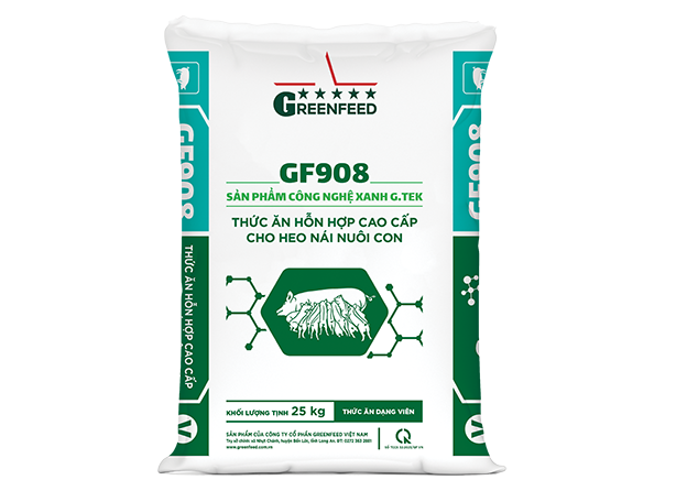 Thức ăn hỗn hợp cao cấp cho heo nái nuôi con (GF908)