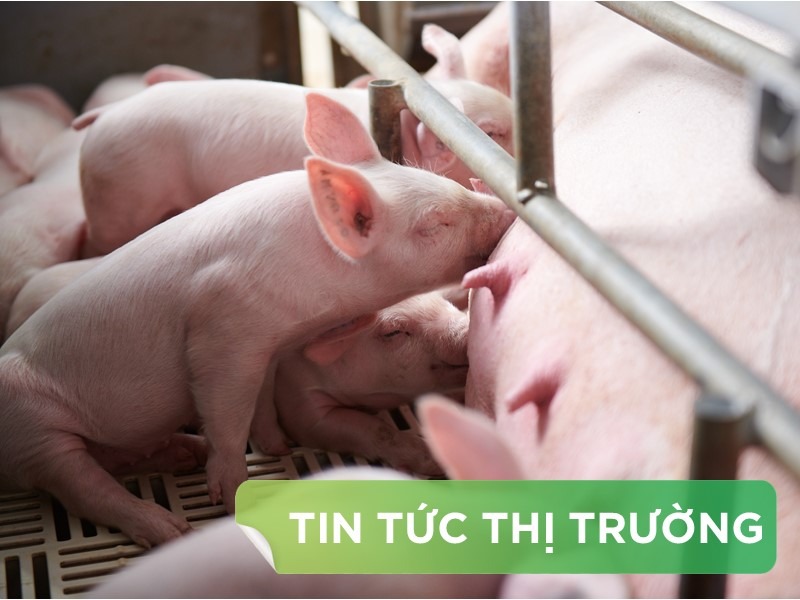 ĐIỂM TIN NỔI BẬT THÁNG 11/2025