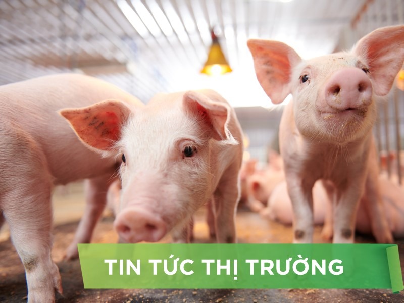 ĐIỂM TIN NỔI BẬT THÁNG 12/2025