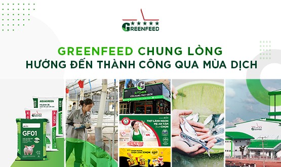 GREENFEED chung lòng, hướng tới thành công qua mùa dịch!