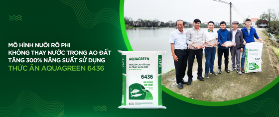 Mô hình nuôi rô phi không thay nước trong ao đất tăng 300% năng suất sử dụng Thức ăn Aquagreen 6436