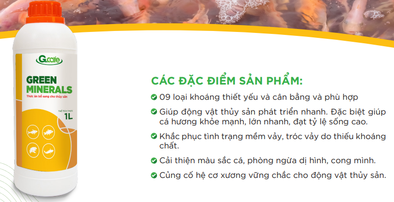 Hình 4: Sản phẩm khoáng cao cấp cho thủy sản