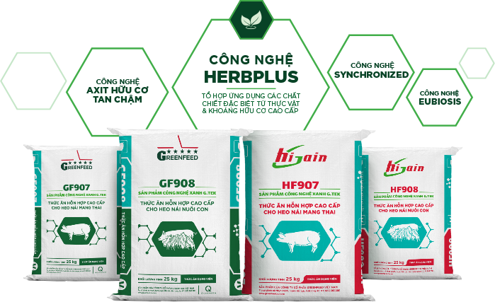 GREENFEED Việt Nam