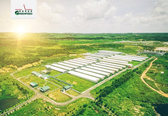 GREENFEED Effective Farming Solutions aims at professional farming