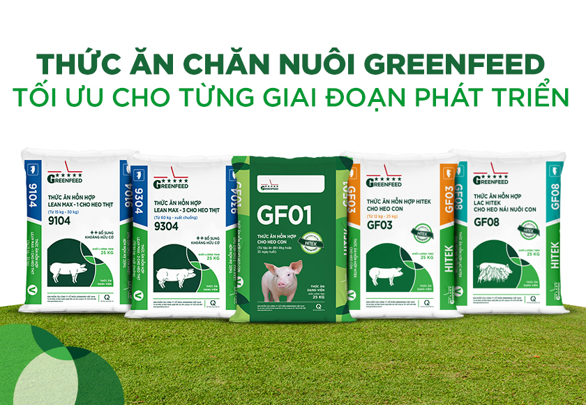 Là mắt xích đầu tiên của chuỗi thưc phẩm lành GREENFEED, thức ăn chăn nuôi GREEENFEED tối ưu cho từng giai đoạn phát triển