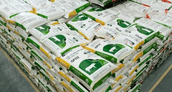 GREENFEED VIỆT NAM CÔNG BỐ KẾT QUẢ TĂNG TRƯỞNG LỢI NHUẬN BỀN VỮNG