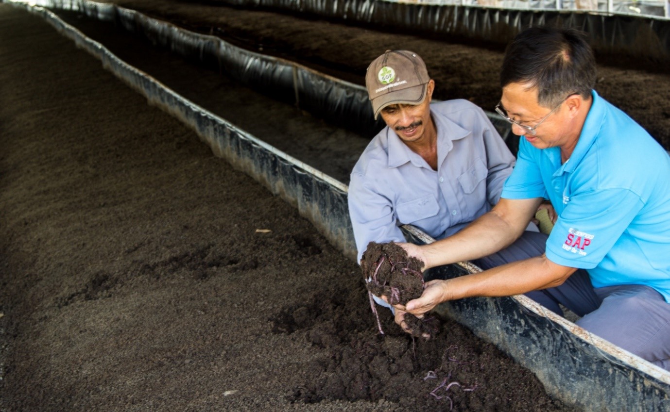 GREENFEED tiên phong trong xử lý chất thải chăn nuôi heo với mô hình nuôi trùn quế